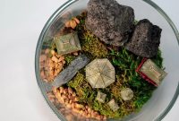 New Japanese inspired terrarium : r/terrariums